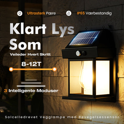 🎉50 % rabatt🎉Solcelledrevet wolfram vegglampe💥