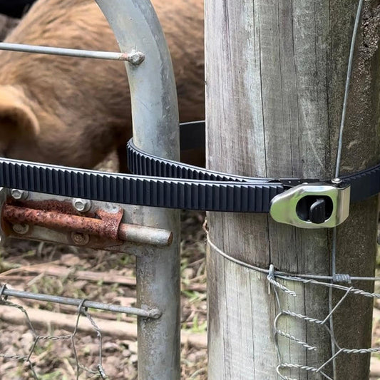 💫 Tåler en vekt på opptil 2500 kg | Med karabiner i rustfritt stål og polyesterbånd 🏋️